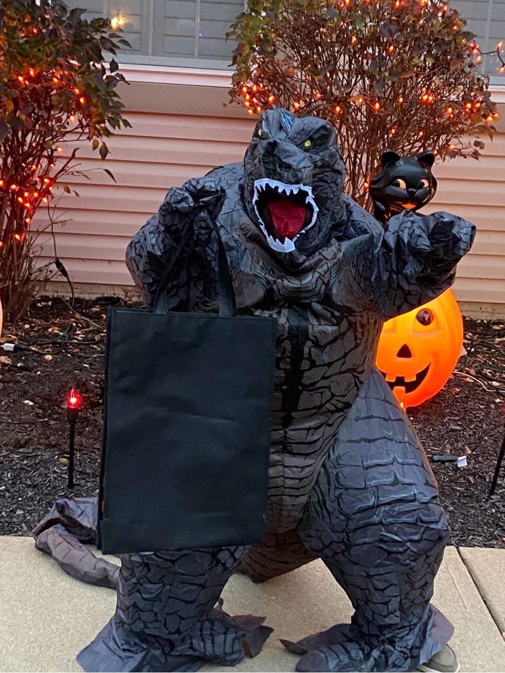 Kids Inflatable Godzilla Monster Halloween Costume